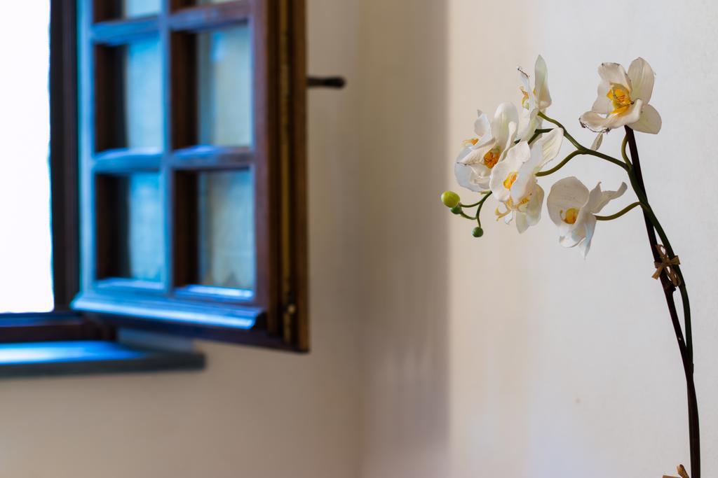 Casa Marta Βίλα Pescaglia Εξωτερικό φωτογραφία